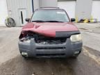 2003 Ford Escape XLT