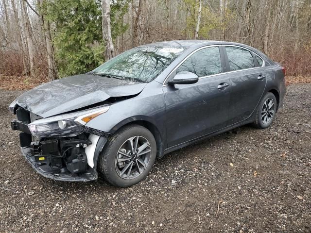 2023 KIA Forte EX