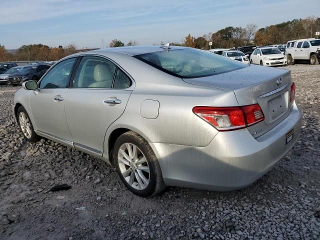 2010 Lexus ES 350