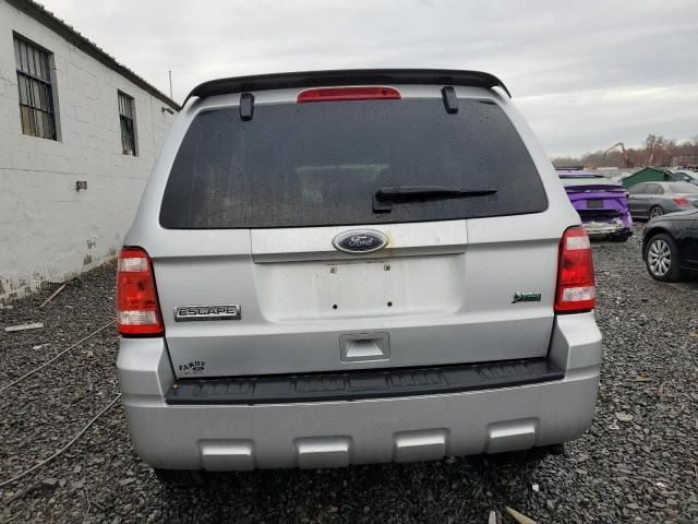 2010 Ford Escape XLT