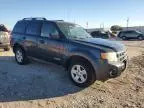 2008 Ford Escape HEV