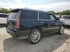 2016 Cadillac Escalade Platinum