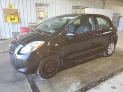 Toyota salvage cars for sale: 2010 Toyota Yaris