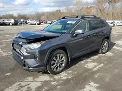 Toyota rav4 xle Premium salvage cars for sale: 2019 Toyota Rav4 XLE Premium