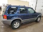 2002 Ford Escape XLT