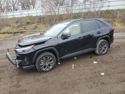 Salvage cars for sale at Davison, MI auction: 2023 Toyota Rav4 XLE Premium