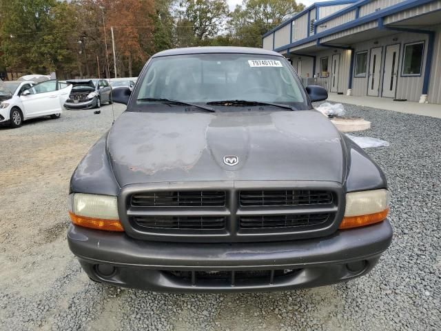 2002 Dodge Dakota Base