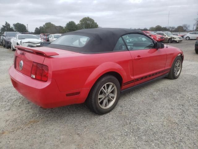 2005 Ford Mustang