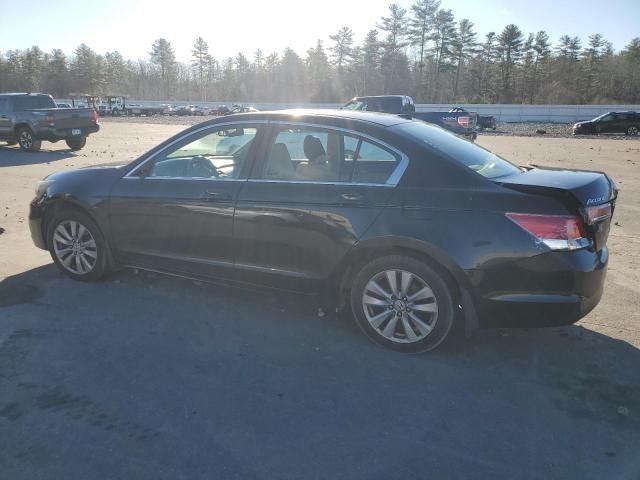 2011 Honda Accord EXL