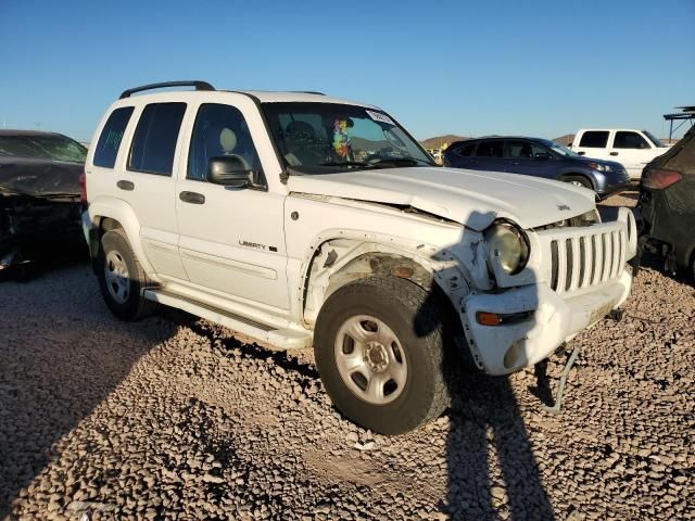 2002 Jeep Liberty Limited