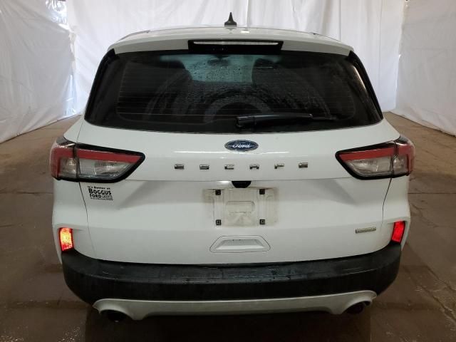 2020 Ford Escape S