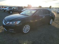 Salvage cars for sale at Antelope, CA auction: 2013 Honda Accord EX