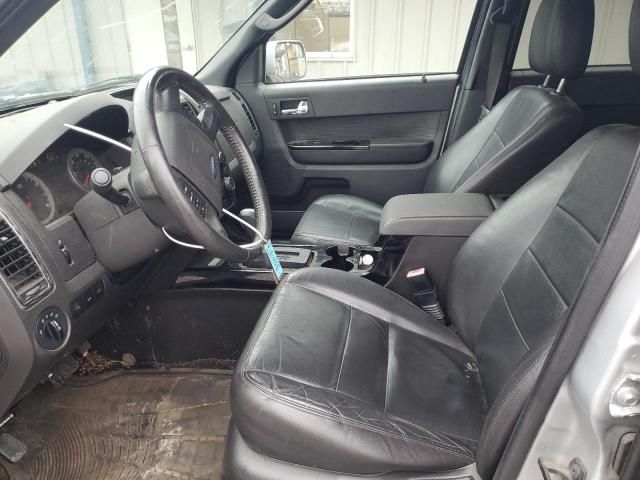 2010 Ford Escape Limited