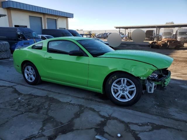 2013 Ford Mustang