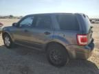 2010 Ford Escape XLS