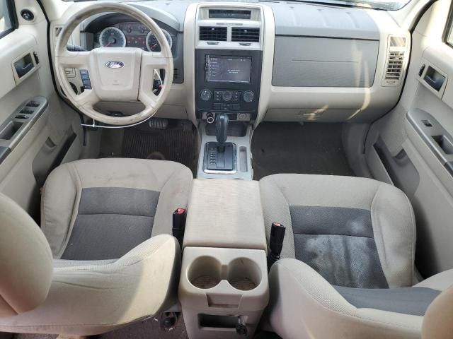 2008 Ford Escape XLT