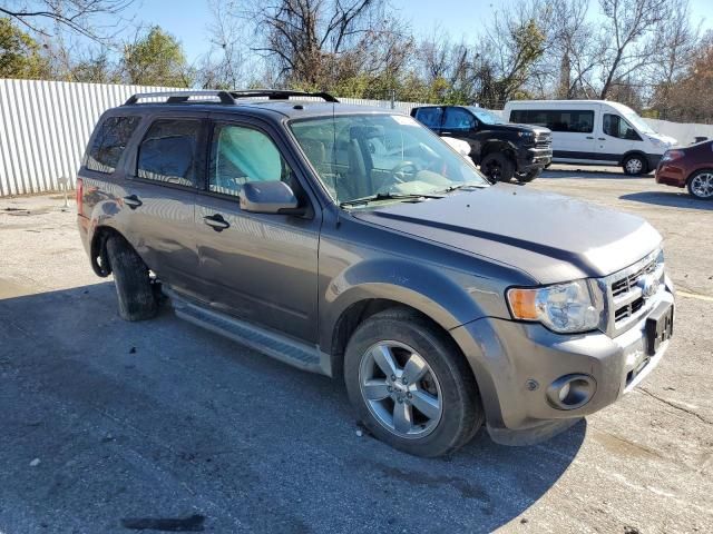 2011 Ford Escape Limited