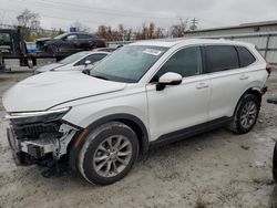 Salvage cars for sale at Walton, KY auction: 2023 Honda CR-V EX