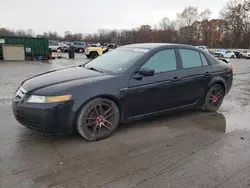 Salvage cars for sale at Ellwood City, PA auction: 2004 Acura TL