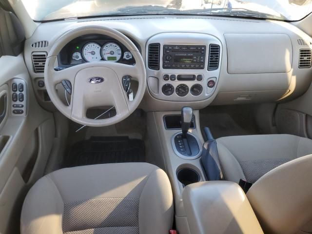 2007 Ford Escape XLT