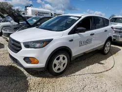 Salvage cars for sale at Arcadia, FL auction: 2019 Ford Escape S