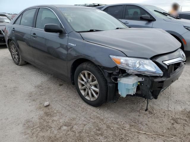 2011 Toyota Camry Hybrid