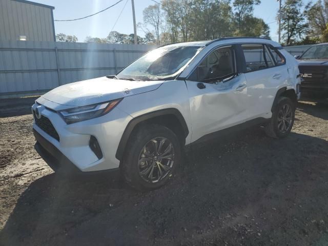 2023 Toyota Rav4 XLE Premium