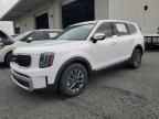 2024 KIA Telluride LX