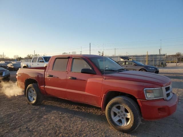 2010 Dodge Dakota SXT