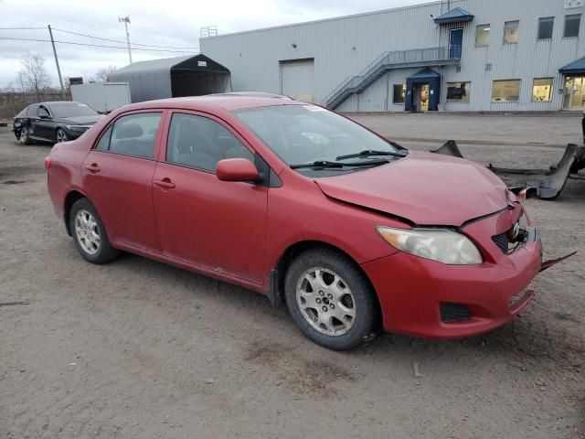 2010 Toyota Corolla Base