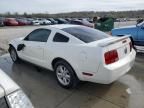 2008 Ford Mustang