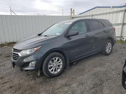 Salvage cars for sale at Albany, NY auction: 2020 Chevrolet Equinox LS