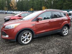 Ford salvage cars for sale: 2014 Ford Escape Titanium