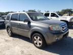 2009 Honda Pilot EXL