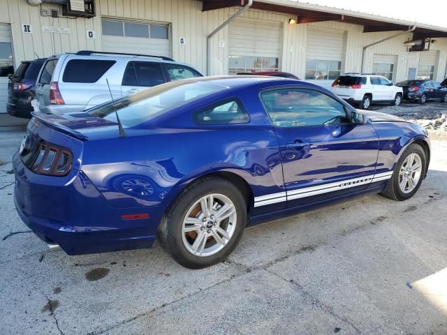 2013 Ford Mustang