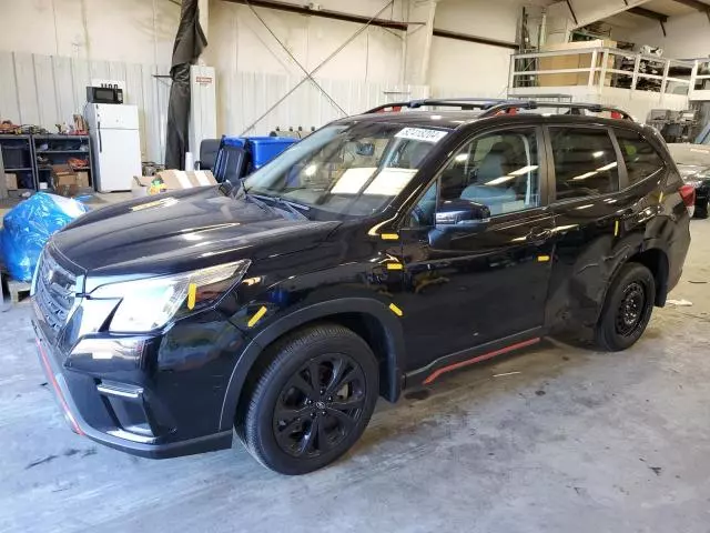 2023 Subaru Forester Sport