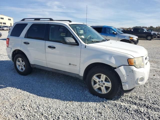 2009 Ford Escape Hybrid