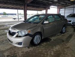 Salvage cars for sale at American Canyon, CA auction: 2010 Toyota Corolla Base