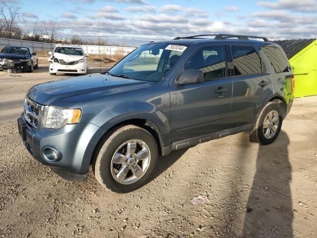 2010 Ford Escape XLT