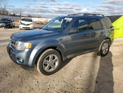 Carros salvage para piezas a la venta en subasta: 2010 Ford Escape XLT