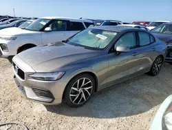 Salvage cars for sale at Arcadia, FL auction: 2019 Volvo S60 T6 Momentum