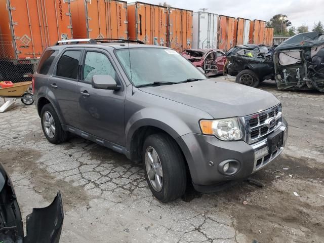 2010 Ford Escape Limited