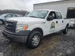 Carros salvage sin ofertas aún a la venta en subasta: 2013 Ford F150 Supercrew