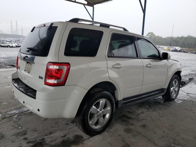 2011 Ford Escape Limited