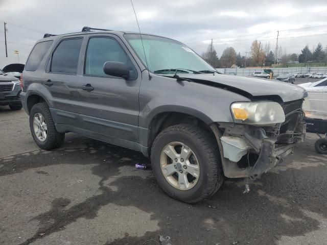 2005 Ford Escape XLT