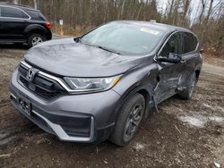 Salvage cars for sale from Copart Cookstown, ON: 2020 Honda CR-V LX