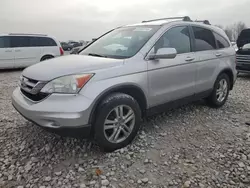 Honda salvage cars for sale: 2010 Honda CR-V EXL