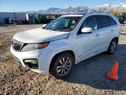 Salvage cars for sale at Magna, UT auction: 2011 KIA Sorento SX