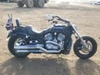 2004 Harley-Davidson Vrscb