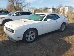 Dodge salvage cars for sale: 2013 Dodge Challenger SXT